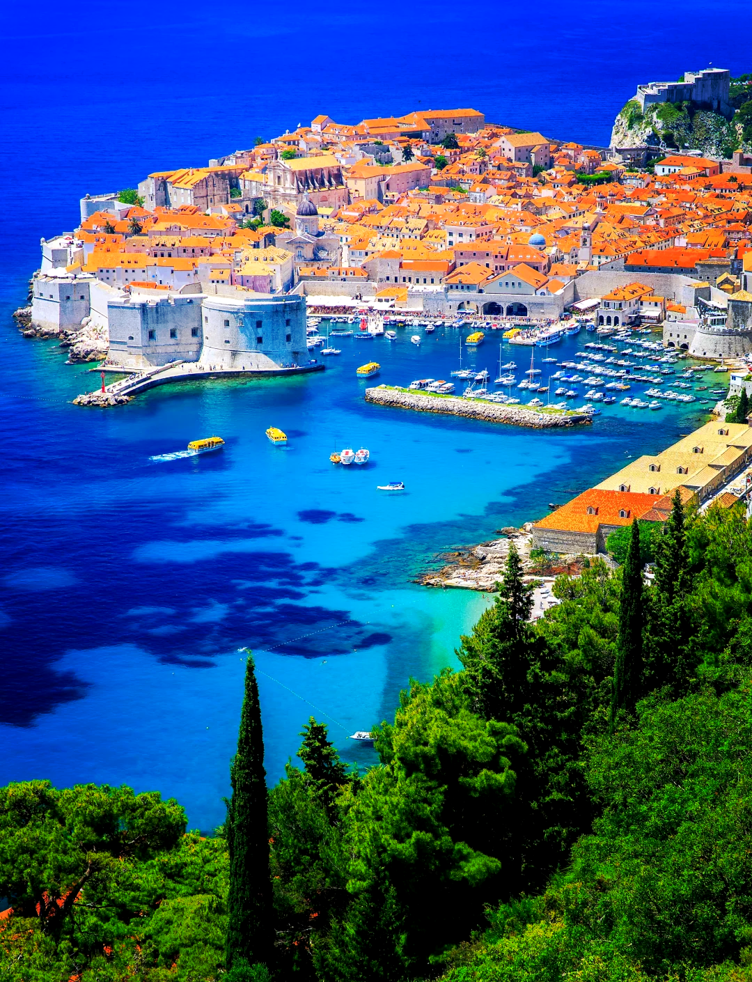 关于克罗地亚-击败斯洛文尼亚实现胜利的信息 关于克罗地亚-击败斯洛文尼亚实现胜利的信息