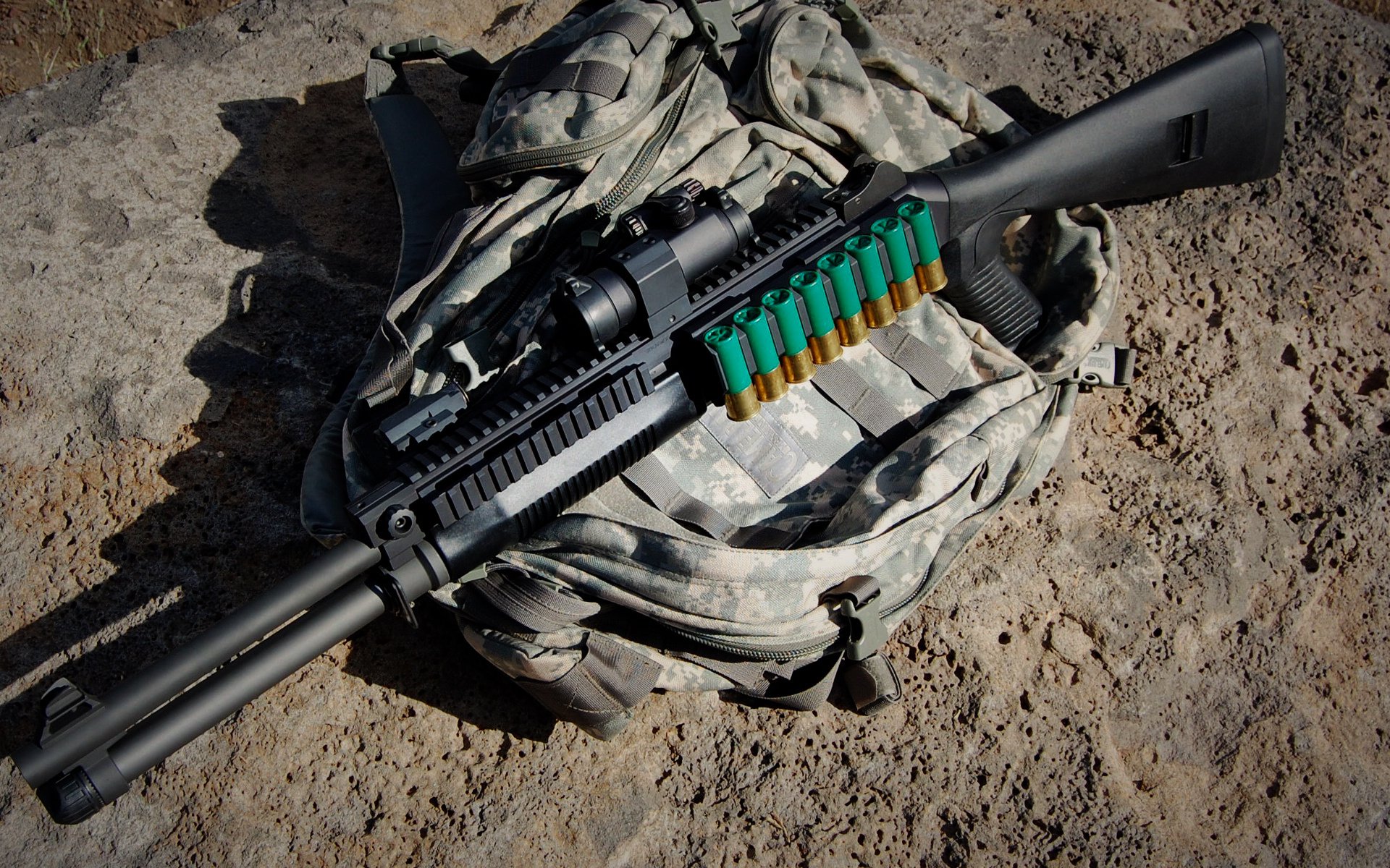 福克斯飓风席卷北岸花园，凯尔特人团队铁拳碾压76人