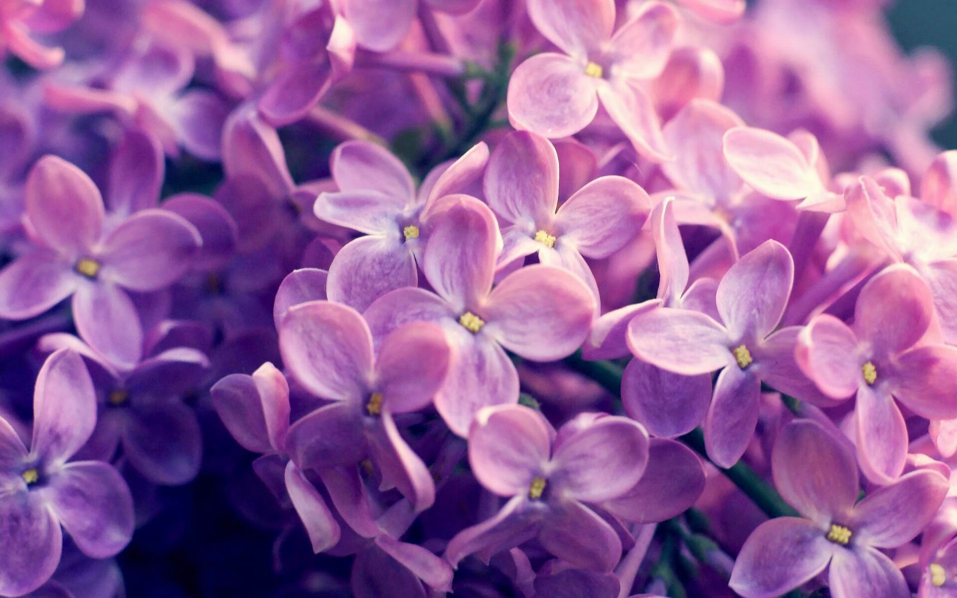 虚与实的博弈，罗马绝杀背后，被破解的不只是新西兰的防线