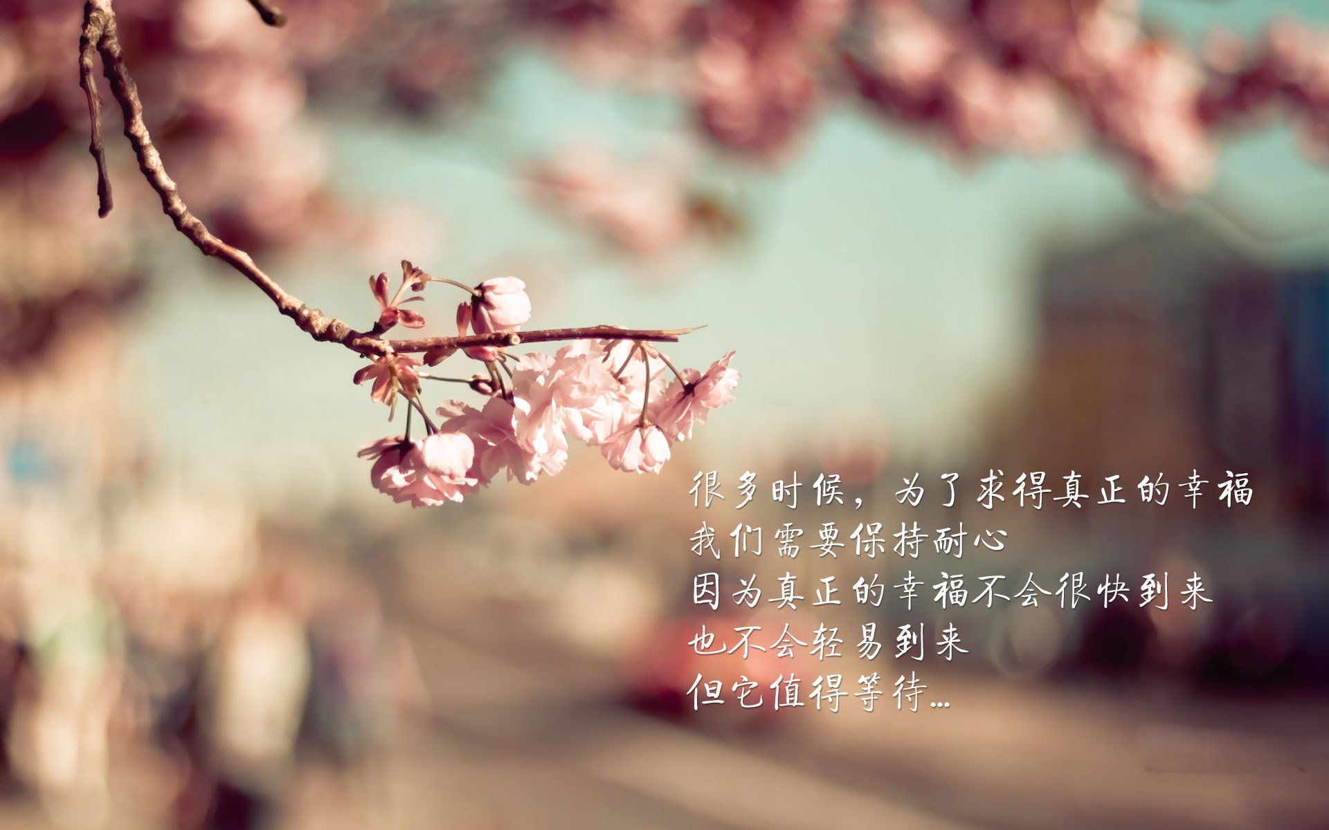 凤凰城不眠夜，西决生死战布克以火焰为墨，书写独属凤凰城的孤勇史诗