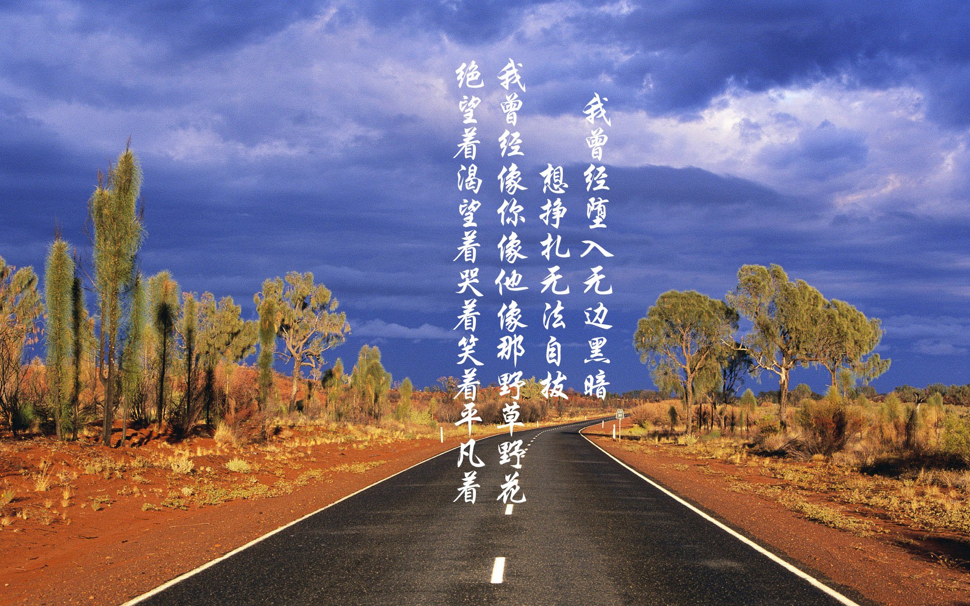 F1争冠之夜的终极艺术,当赛道化身球场,维斯塔潘的文班亚马时刻