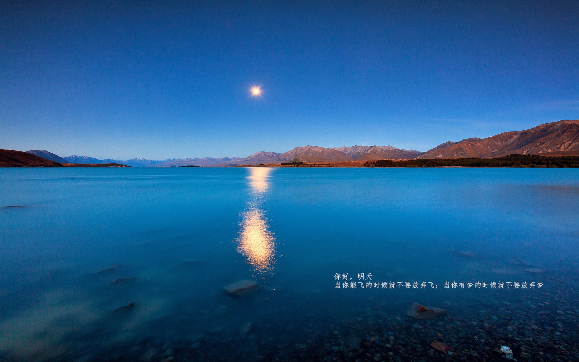 绿茵赌局，当阿拉巴的脚踝颤抖时，蓝军已为命运押上全部筹码