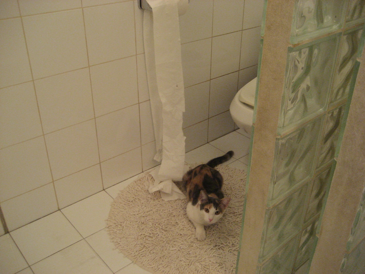 开云体育官方网站-NBA季后赛之夜，苏亚雷斯的制胜传奇—从足球场到篮球馆的跨界奇迹