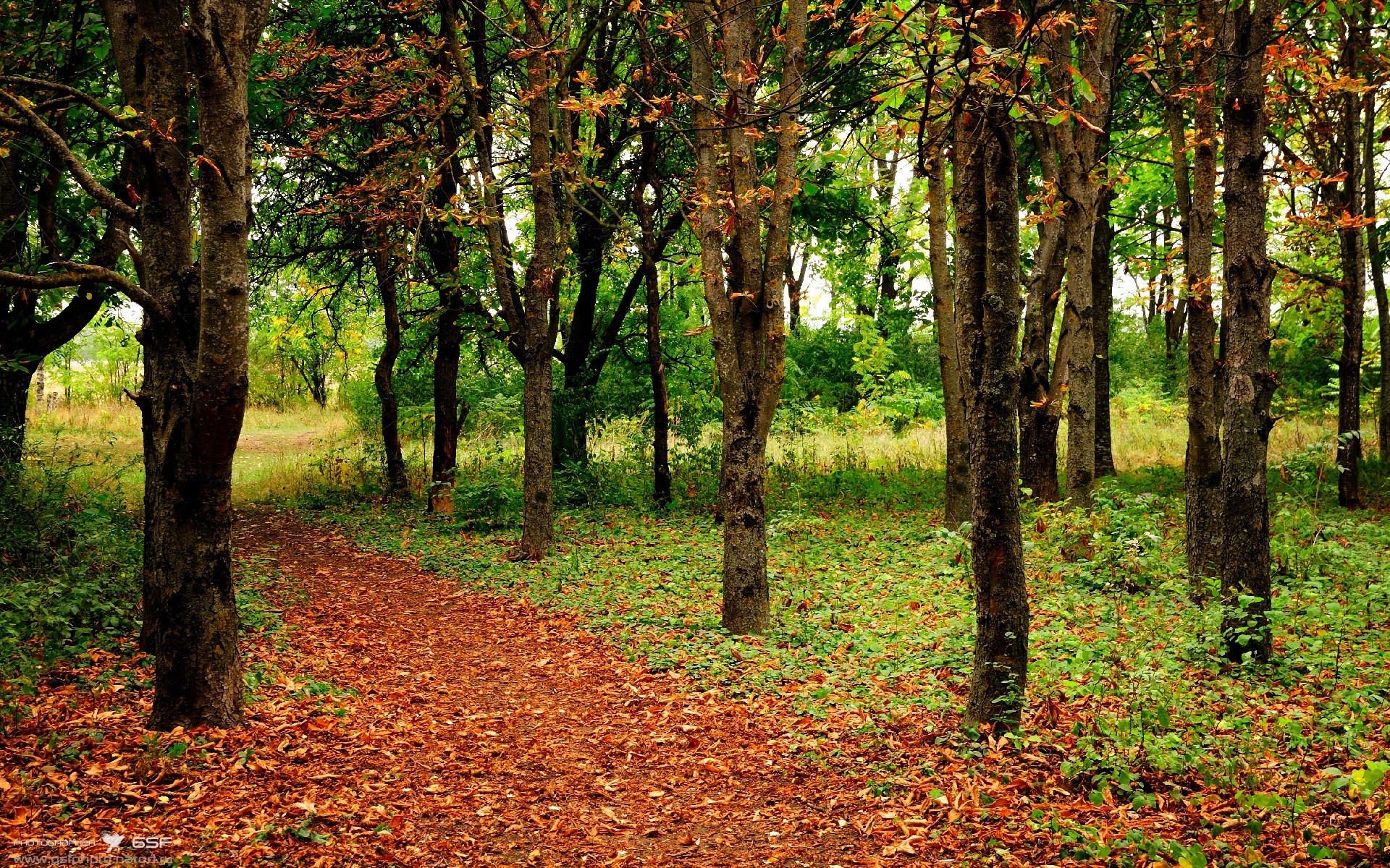 爱德华兹制胜一击定乾坤,广厦客场力克上海占得先机
