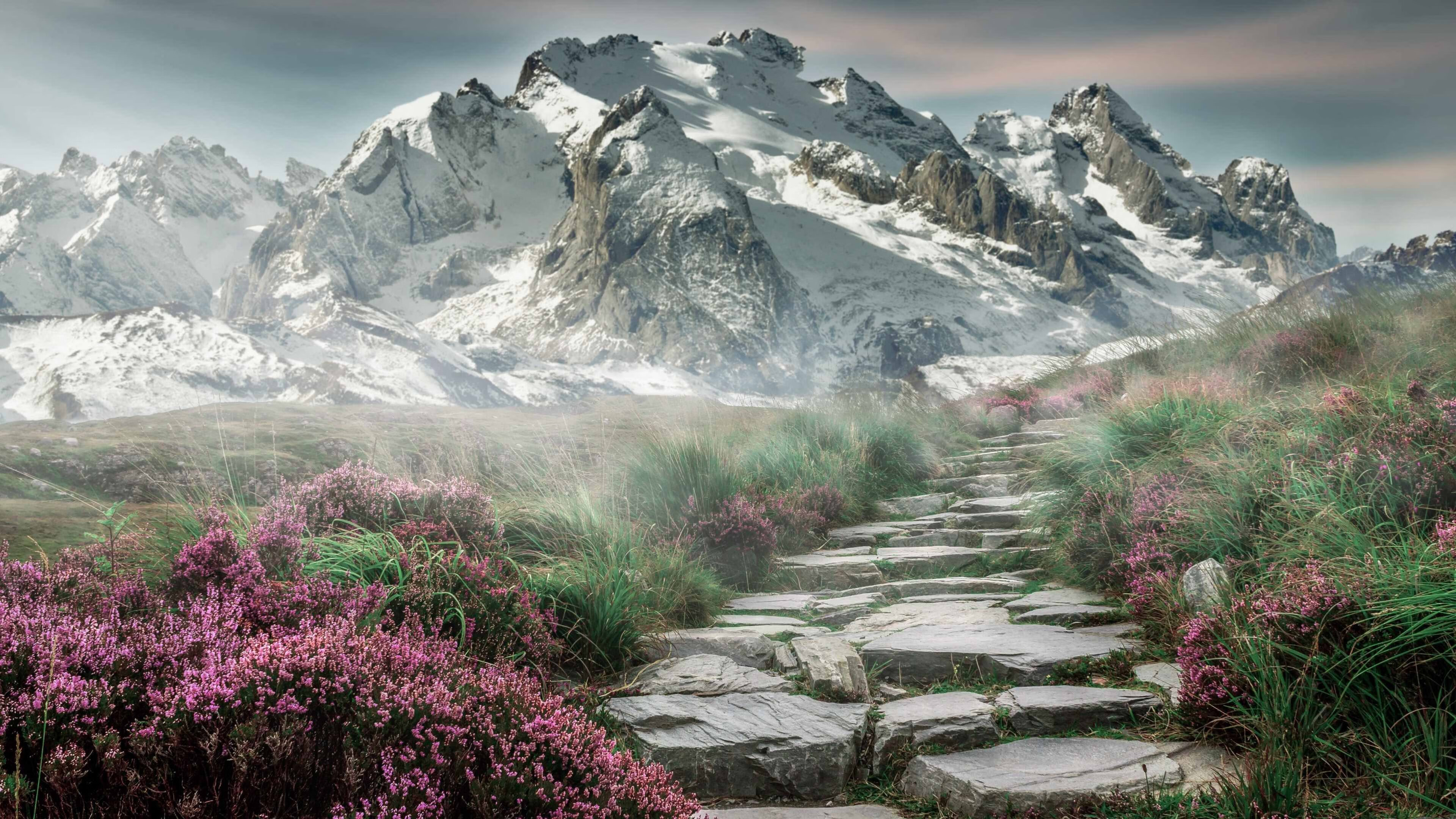 铁血与智慧的胜利，尼斯战术压制与托尼的硬仗之王本色