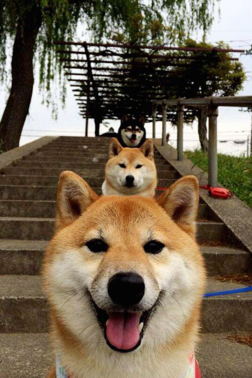 末节19分+7记三分!克莱冠军级表现力挽狂澜,吉林队憾负绿军展现亚洲之光