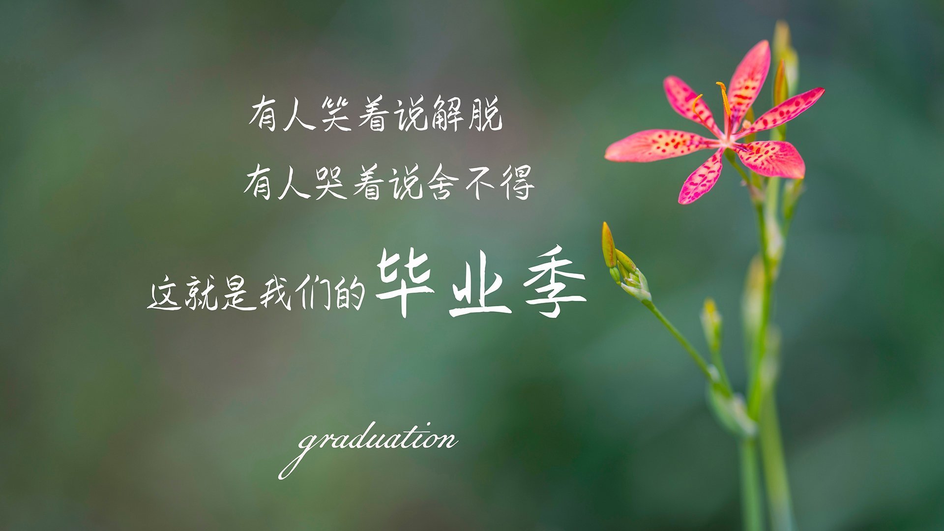 久保建英数据全面爆炸,巴拉圭决胜局带走智利