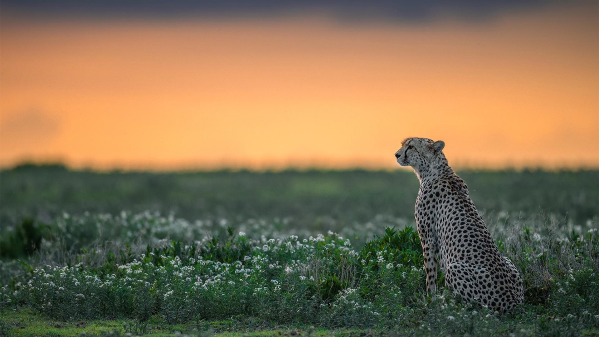末节风暴,法国险胜厄瓜多尔,门迪神扑铸就胜利基石