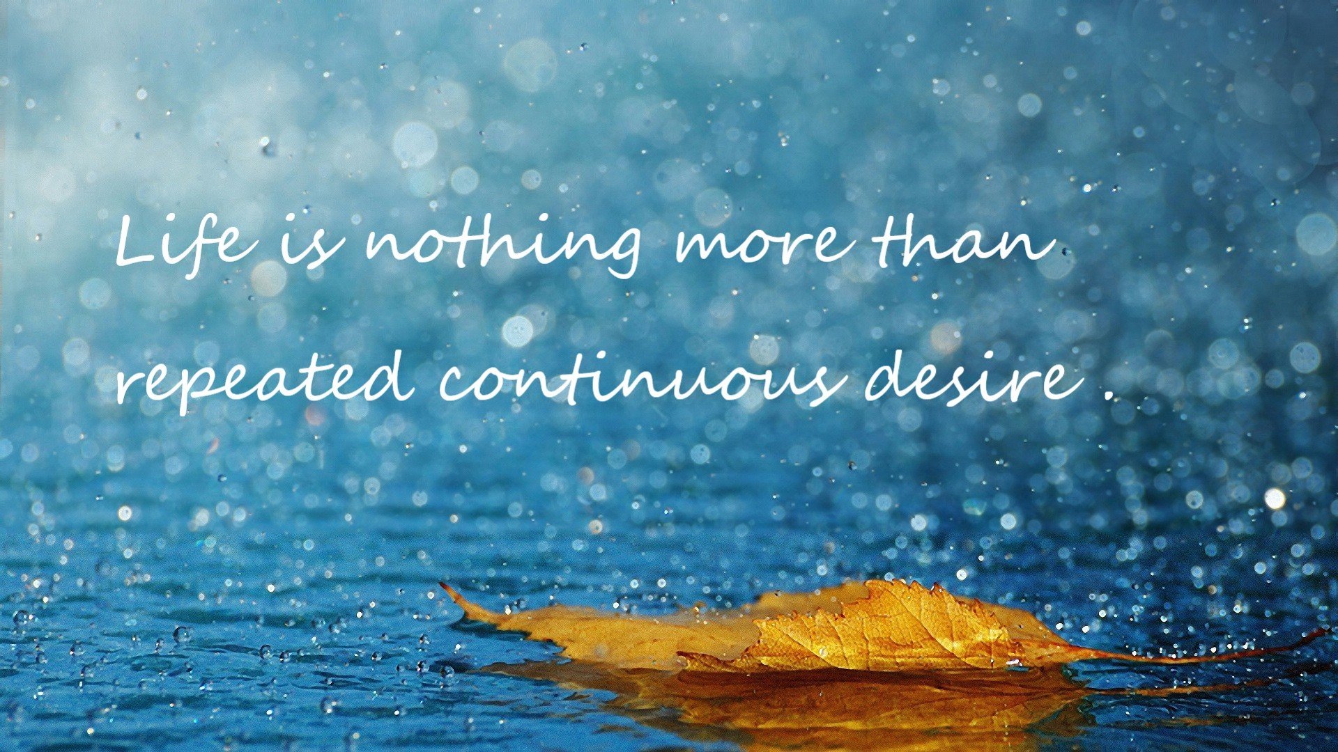 暗夜破晓者，年度焦点之战，贝恩的孤星与群星的交响