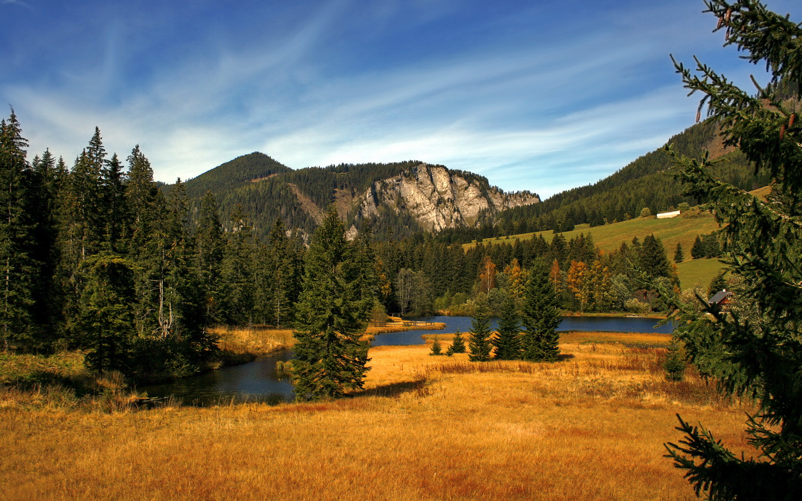 双线传奇，骑士铁蹄下的团队哲学与F1赛道上的孤独掌控者