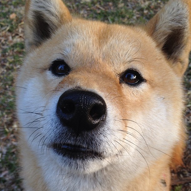 骑士强行终结雄鹿,德罗赞化身关键先生