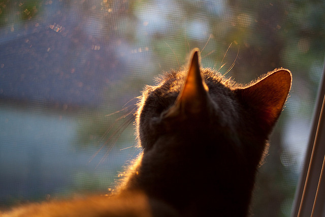 微光破晓,坎特里程碑与毕尔巴鄂打穿背后的足球本真