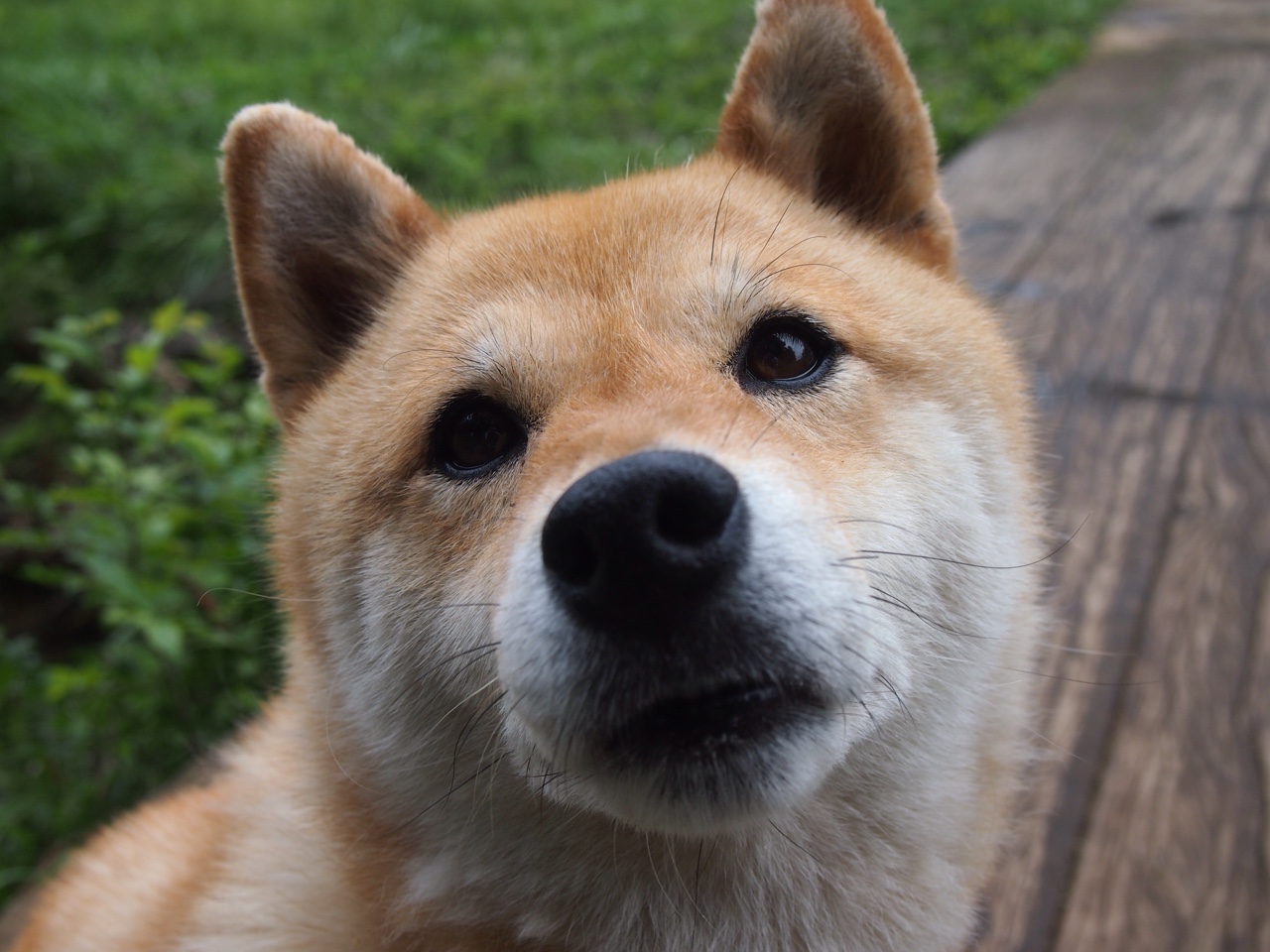 吉林队克莱无人可挡,上海队防线遭彻底瓦解