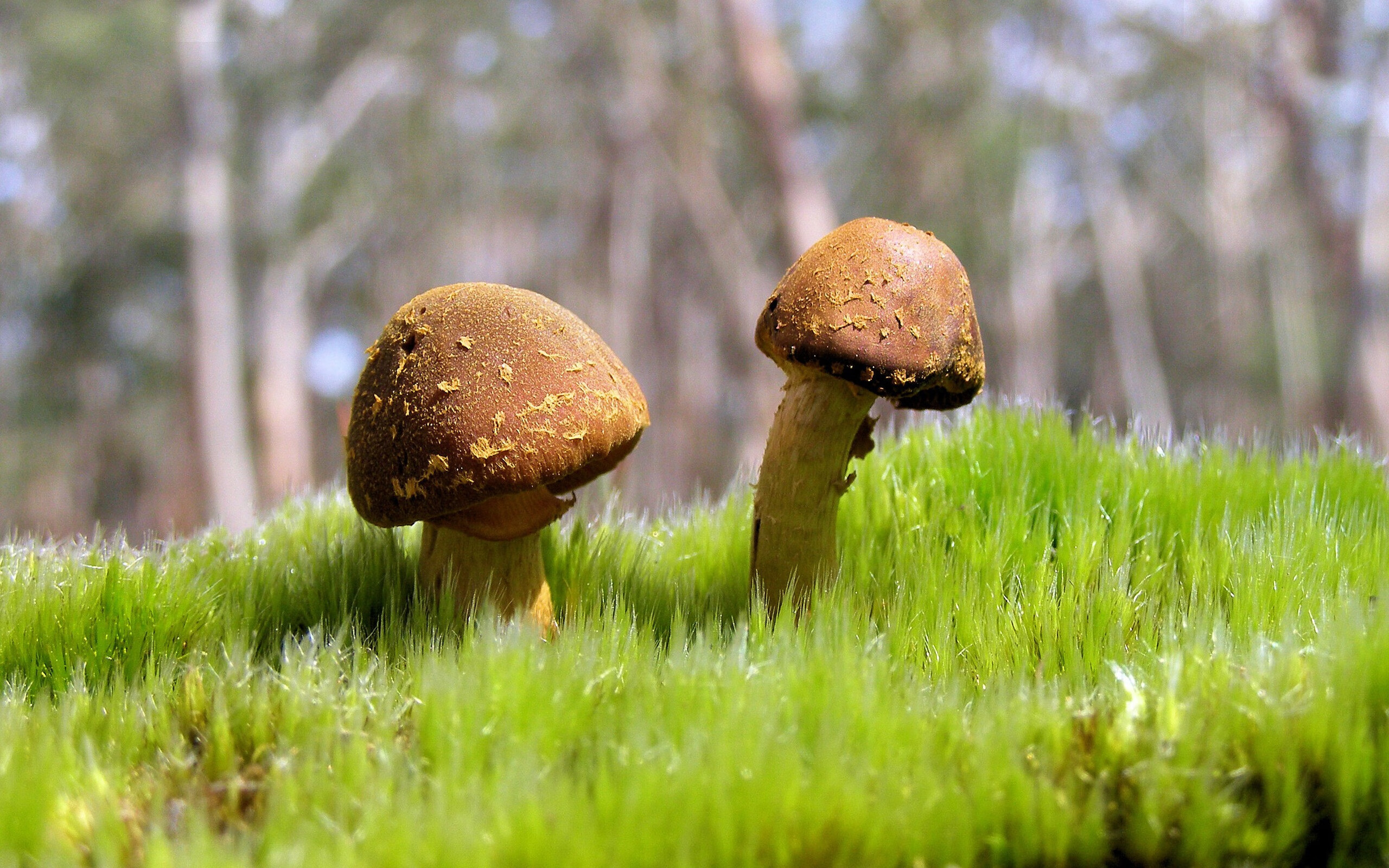 伊萨克单骑定乾坤!莱比锡单节爆发拉开里昂