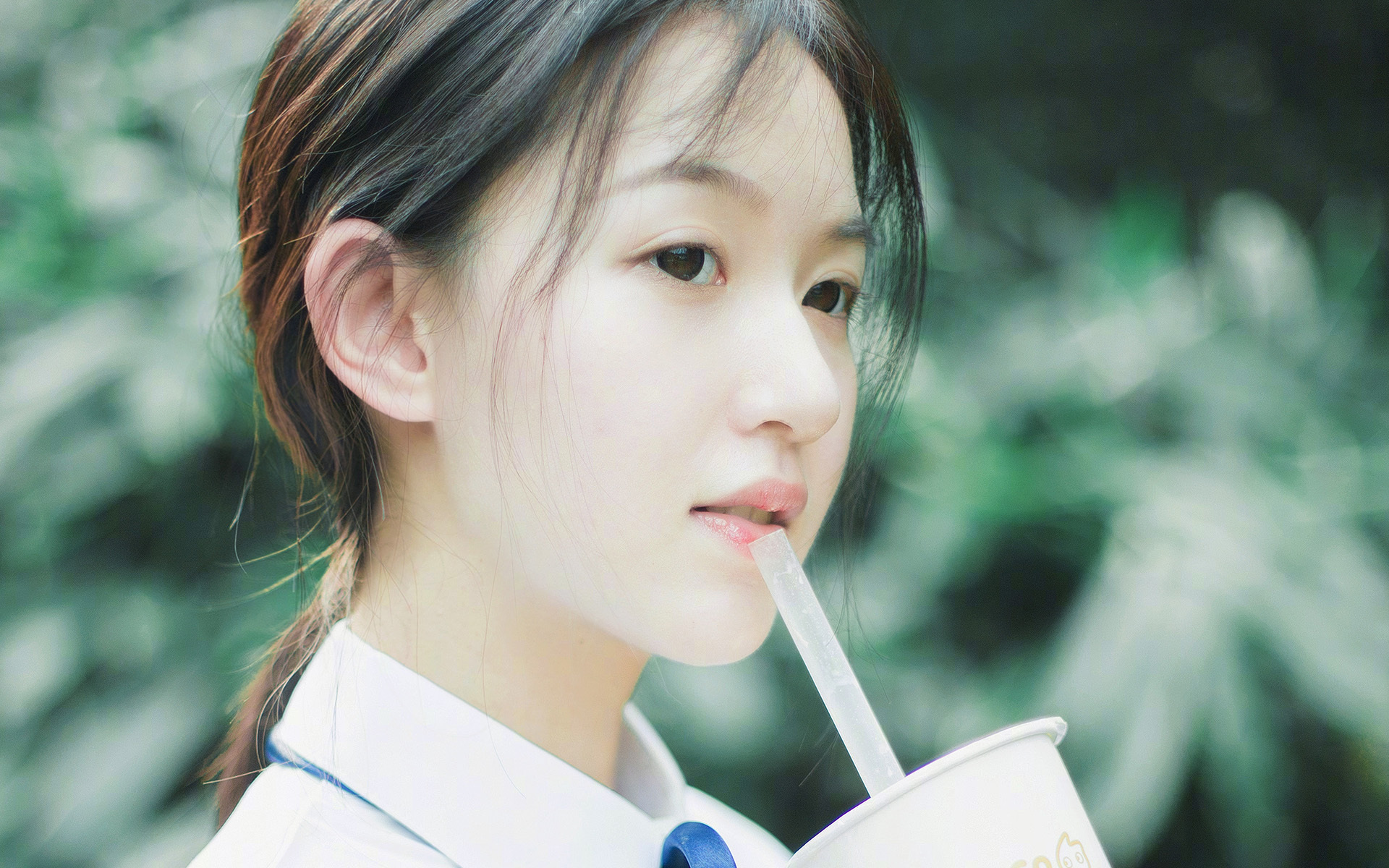 蜂群肆虐南海岸,霍勒迪主宰攻防—一场无懈可击的个人表演