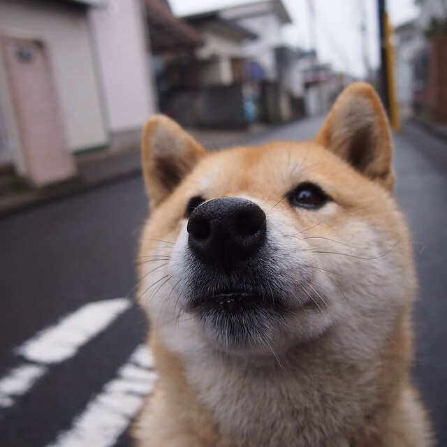 开云体育官方网站-双子星闪耀，贝林厄姆征服焦点战，瑞典险胜安哥拉展韧性